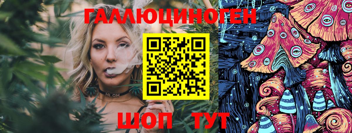 продажа наркотиков  Вход с VPN  Людиново  Псилоцибиновые грибы MAGIC MUSHROOMS 