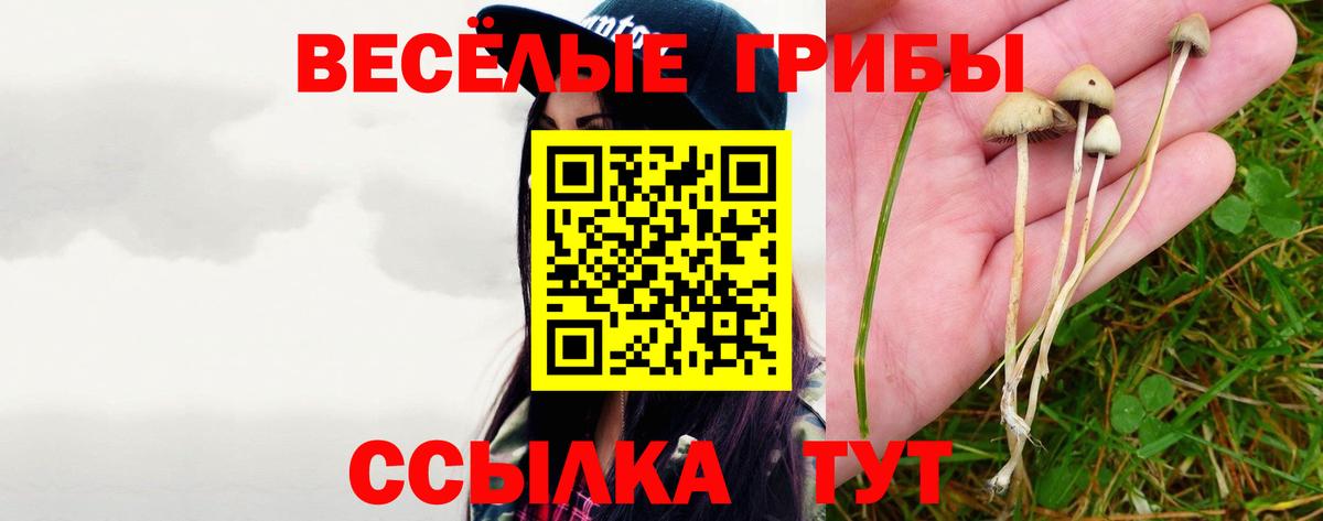Галлюциногенные грибы ЛСД Людиново